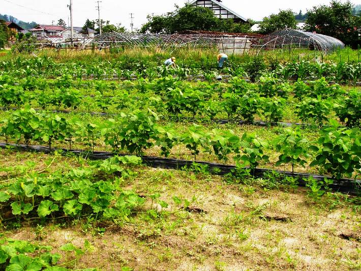 この画像はクリックすると大きな画像を閲覧できます。