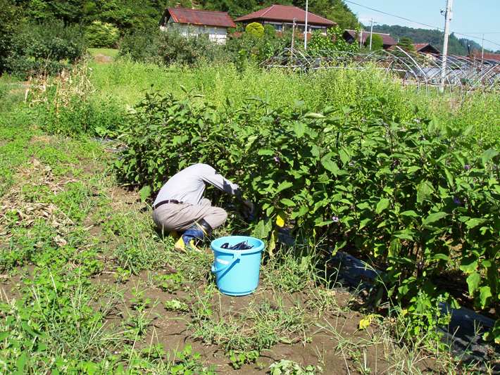 この画像はクリックすると大きな画像を閲覧できます。